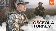 Florida Osceola Turkey still