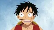 Almost to Luffy! Gather at the Courthouse Plaza! still