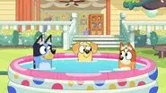 Whirlpool still