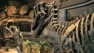 The Great Extinction still