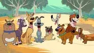 Wabbit's Best Friend still