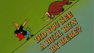 Did You See a Bull Run By Here? still