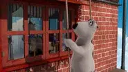 The Window Cleaner still