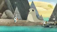 Run, Flap, Fly still
