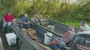 Swamp Showdown still