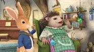 The Tale of the Sleepy Hedgehog still