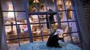The One Where the Monkey Gets Away still