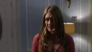 All New still
