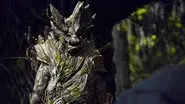 Tree People still
