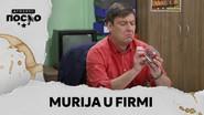 2318 Murija u firmi still