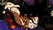 A Miraculous Conclusion! Farewell Goku! Until We Meet Again! still