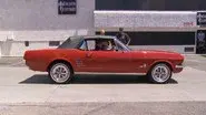 Mangled Mustang (2) still