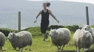 Get Your Sheep Together still