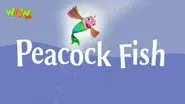 Peacock Fish still