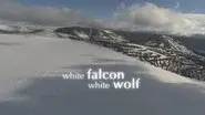 White Falcon, White Wolf still