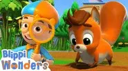 Why Do Squirrels Bury Their Nuts still
