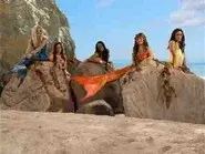 A Mermaid's Tail still