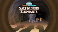 Salt-Mining Elephants still