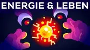 Why Are You Alive – Life, Energy & ATP still