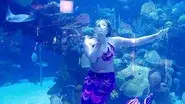 Brett Takes a Dive still