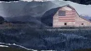 Freedom still