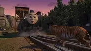 Yong Bao and the Tiger still