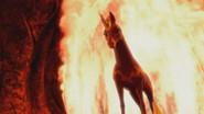 The Fire Unicorn still