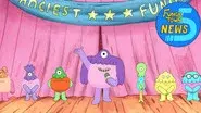 The Fanciest Fungie still