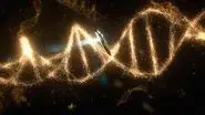 Some of the Things that Molecules Do still