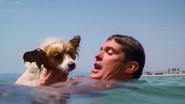 The Swimmer still
