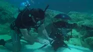 Under World still