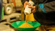 Last Gasp for Gold still
