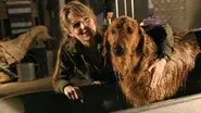 Krypto still
