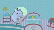 The Sleepless Night still