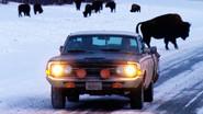 The Ranchero Returns Part 2! Alaska or Bust, the Sequel still