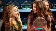 Girl Meets Fish still
