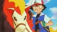 The Flame Pokémon-athon! still