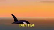 Spirit Bear still