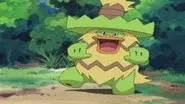 Go Go Ludicolo! still