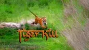 Tiger Kill still