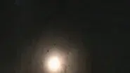 The Blood Trail still