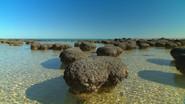 Australia's First 4 Billion Years: Awakening still