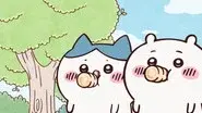 Yakult with Everyone / A Hairball Came Out still