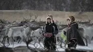 Reindeer Girls still