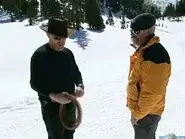 Snow Special still