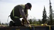 Fight Iron with Iron still