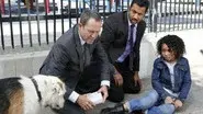 Man's Best Friend still