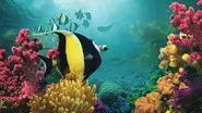 Beneath the Waves still