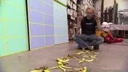 Banana Slip/Double Dip still