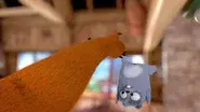 Bear Itch still